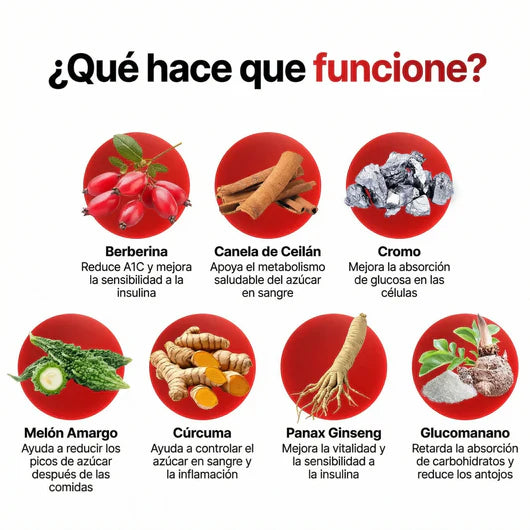 Berberina | Baja y equilibra tu A1C naturalmente